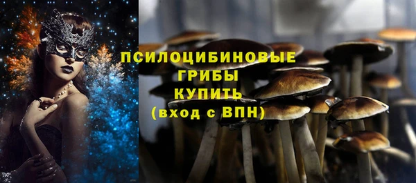 дурь Волосово