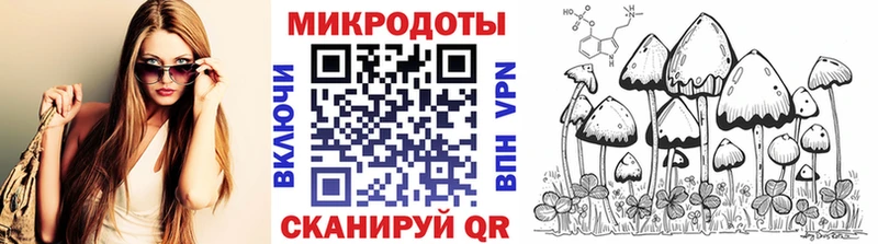 KRAKEN ONION  Окуловка  Псилоцибиновые грибы мухоморы 